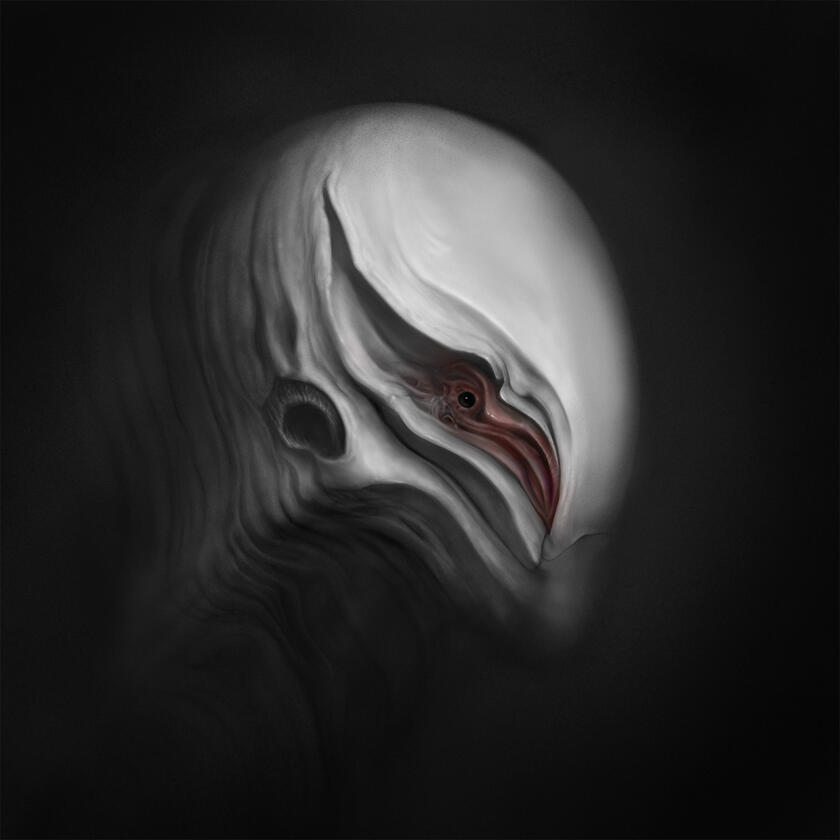 From the Shadows
