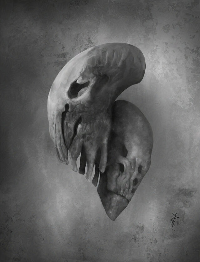 Heads